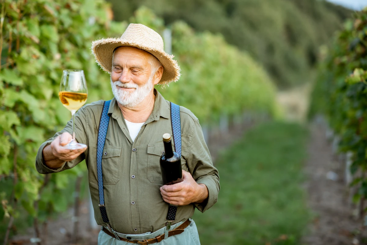 Cours d'œnologie : comprendre le vin pour mieux le déguster
